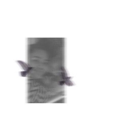 Kinisou Mama (original by kikin)