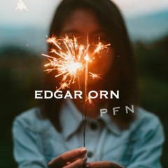 Edgar Orn - PFN (Past Future Now)