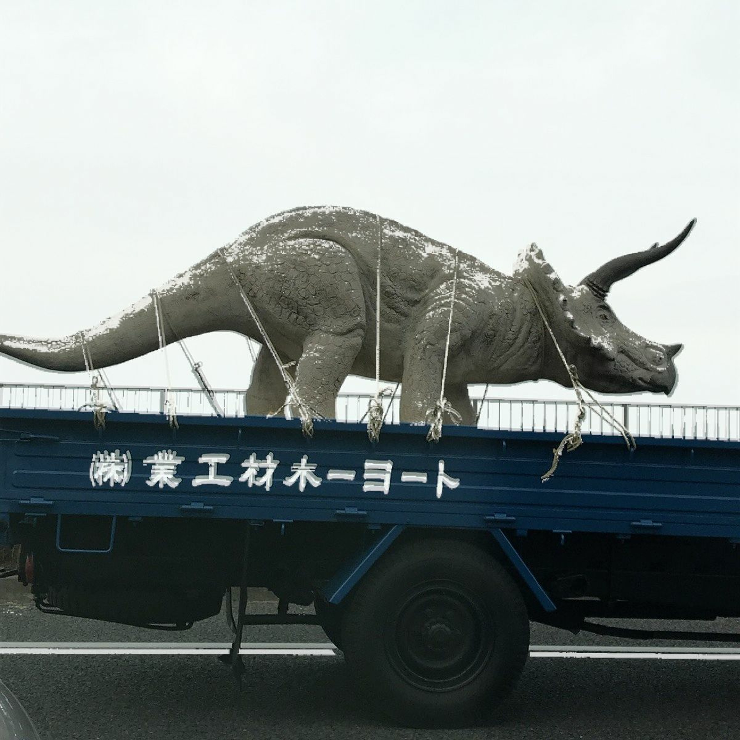 TRICERATOPS 6