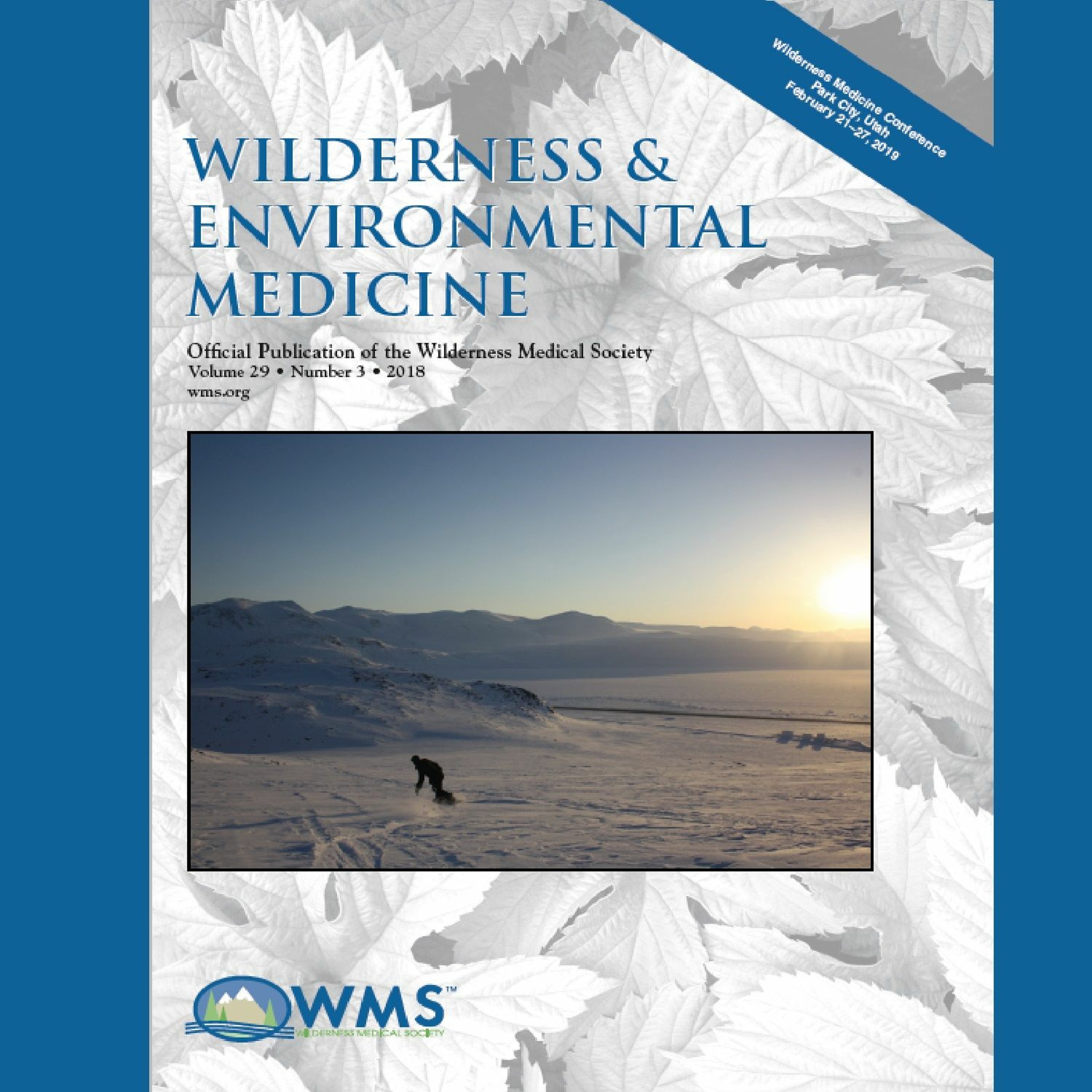Wilderness Medicine Podcast