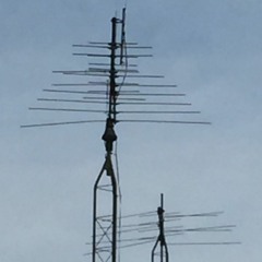 Cotton Balls In Your Ears