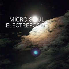 Micro Soul - Nightflutes [128kb]