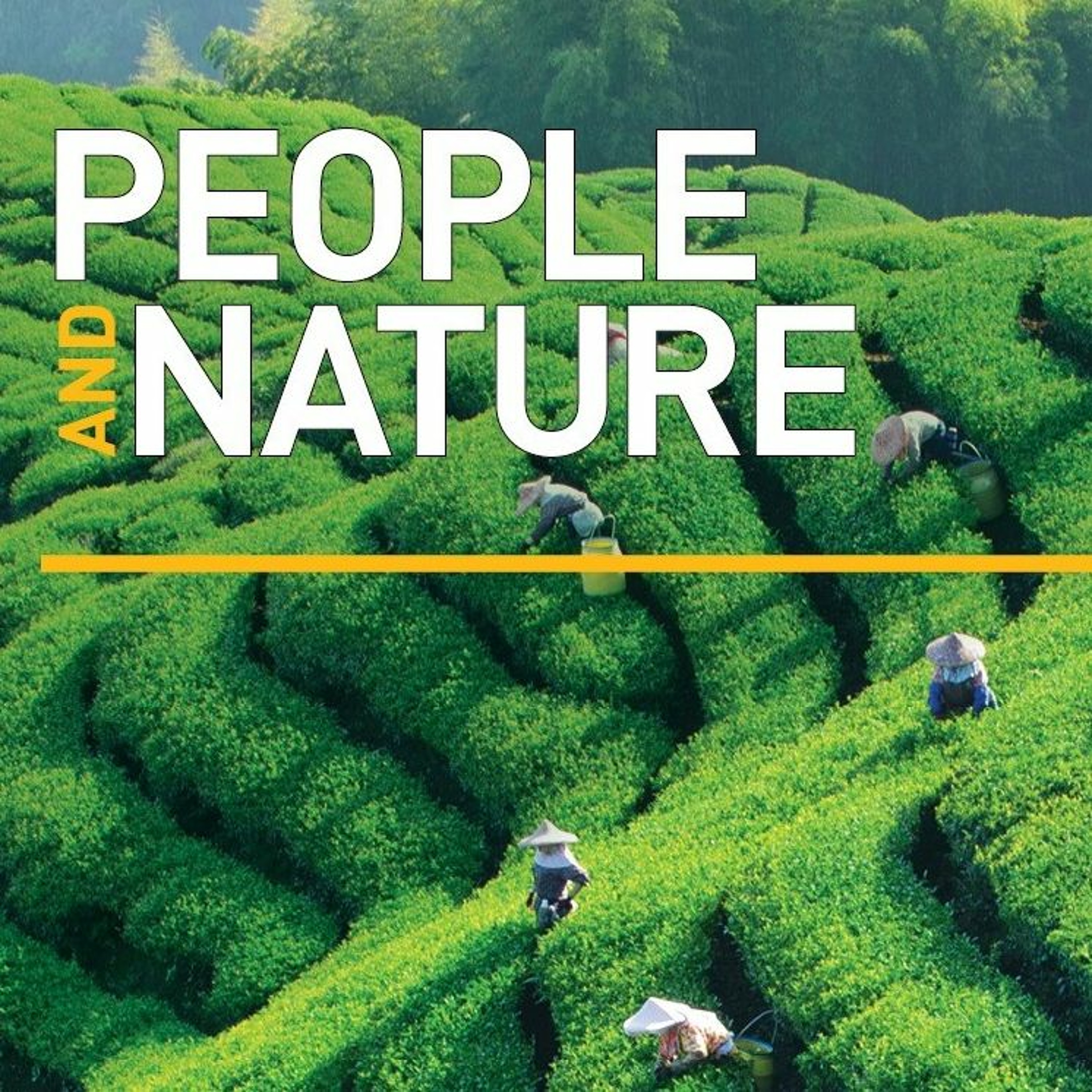 People and Nature; Peer Review with Emilie Aimé