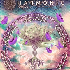 Dj Loopus Harmonic festival 2018, Chrysalide stage