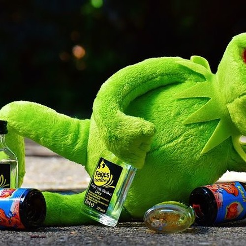 J'ai Embrassé Un Flic (voice Kermit)