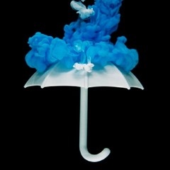 E55_A New Political Tactic...Guard Your Joy