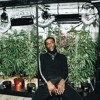 burna boy & j hus - sekkle down (slowed + reverb)