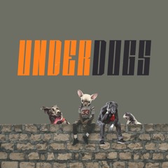 underdogs (starring nappy habibi)