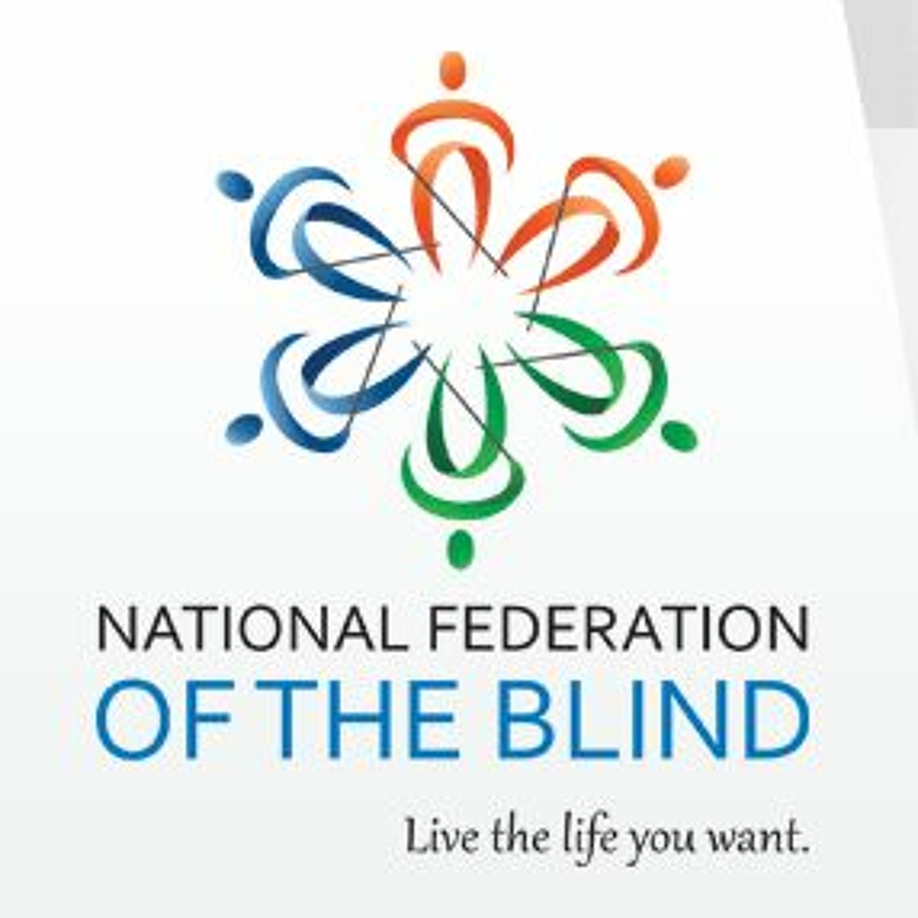 Public Affairs: The National Federation of the Blind New Orleans episode artwork