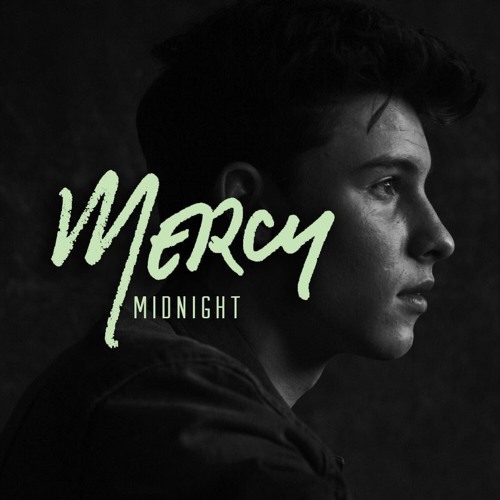 Shawn Mendes Mercy Stickers for Sale