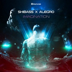 Alegro & Shibass - Imagination [Blue Tunes Records]