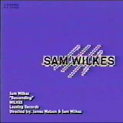 Sam Wilkes - Descending