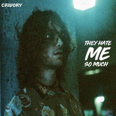 theyhatemesomuch