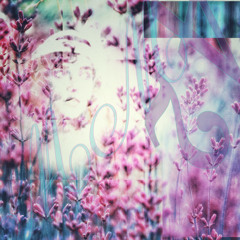 Owen Ni - Flowerchild (Lost Lake Remix) {MMD042}
