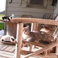 (explosion Noise) - movie review