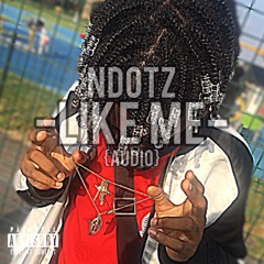 Ndotz - Like Me