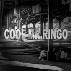 Let Us Play! & Maluga - Cool Mr.Ringo (Original Mix)