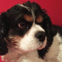 All Comes Back To This