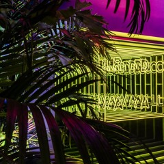 Jungle (Prod. Shaun Majin)