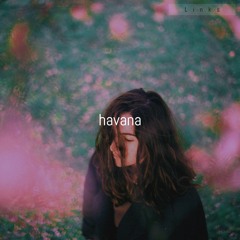 havana remix remix