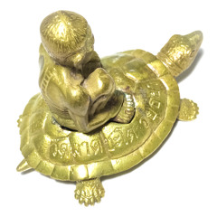 a song of a metal turtle