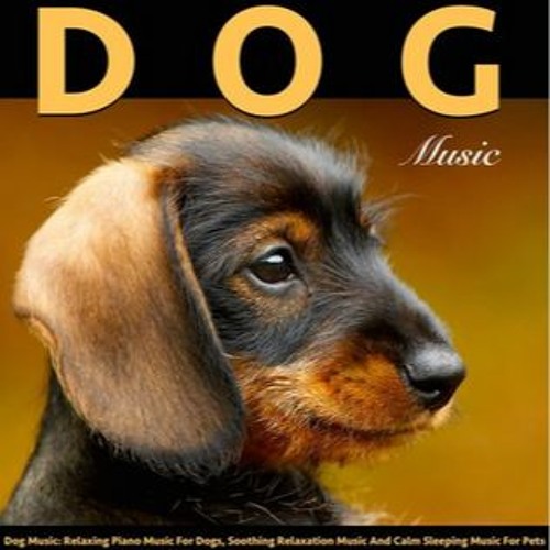 music for my dog