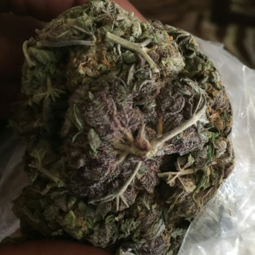 Bigg Tree- Smoke Song