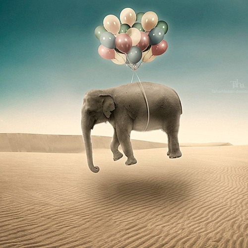 UNIVERSAL CREATIVITY (after The Storm) - The Free Space of Open Awareness