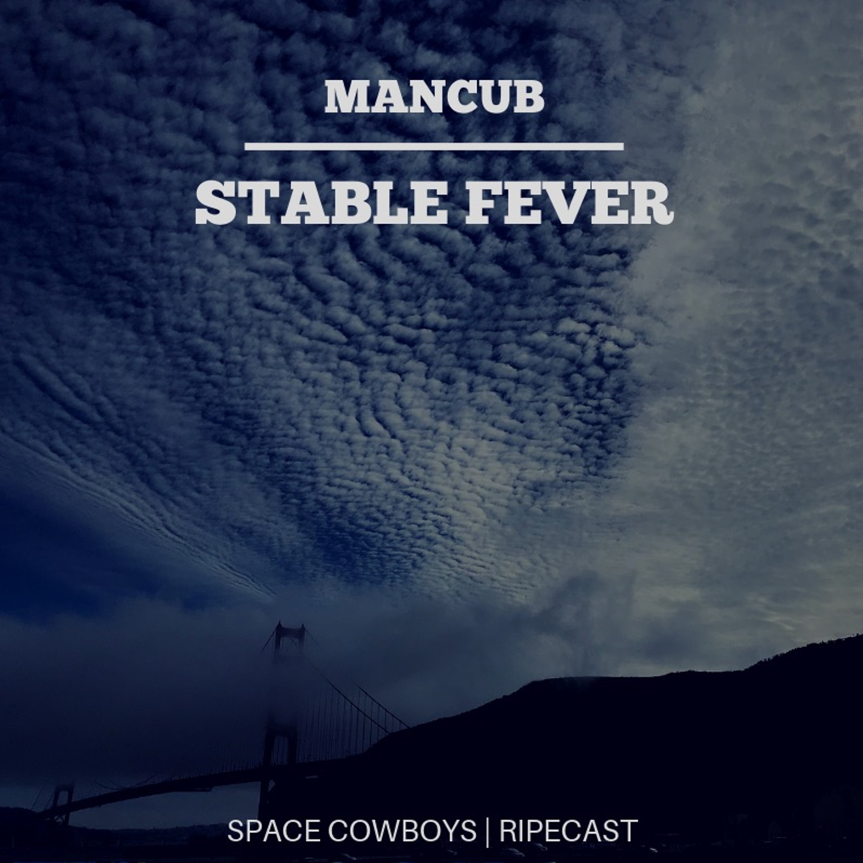 DJ Mancub\'s Mixography