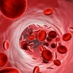 Bloodstream~Vanixed Ft. Rudy Ruda (Prod. CashmoneyAP)