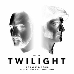 Twilight Vs Breathe (Mizzo Re-Rub)