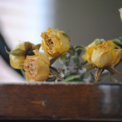 Sancho - Trust No Hoes (prod. by educatedBeats)