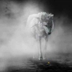 Cry Wolf - Bebe Rexha (Lyrics)