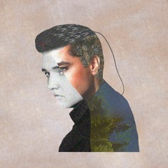 Elvis Presley - Fever (Lopal Edit)