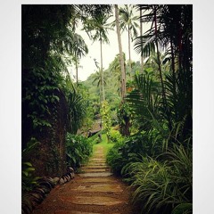 Playlist Roots : Reggae / Dub / Chill Dub / Digital.