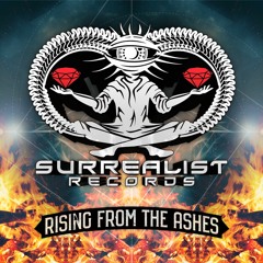 Rising From The Ashes