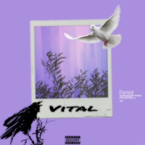 Stream Tall Racks Records by Persist Listen online for free on SoundCloud