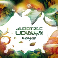 Unseen Dimensions & Audiomatic - Merged