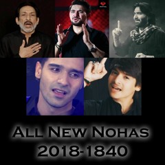 Ye Alam Abbas Ka   Hassan Sadiq Noha 2018   Latest Noha Album 2018 - 19