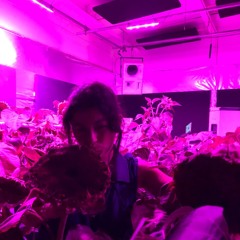 'Music for plants' on Sunflower.fm (Live Recording @ Ormside Projects)