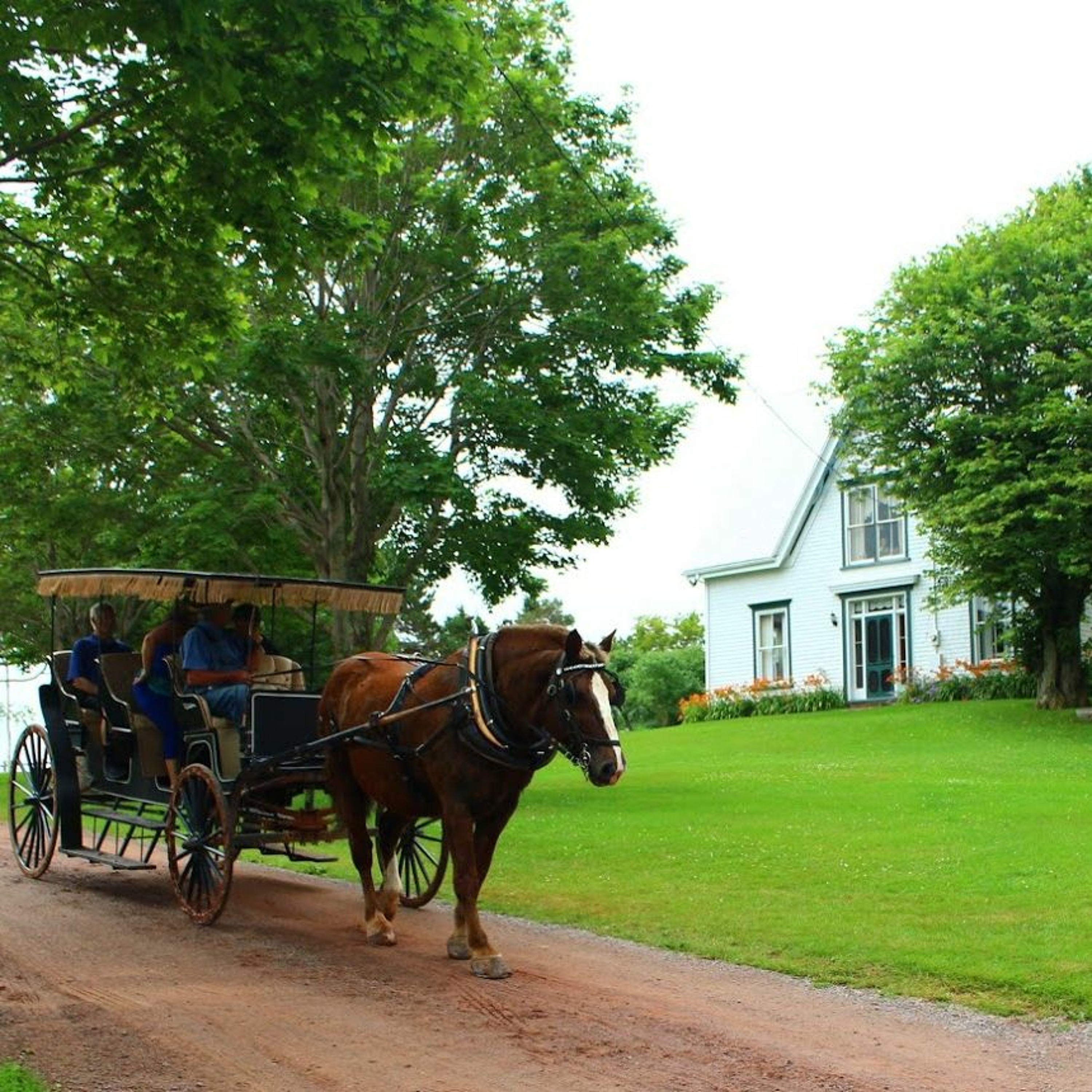 Gonomad Travel Feature of the Week
