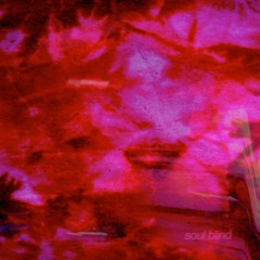 Soul Blind - Searching