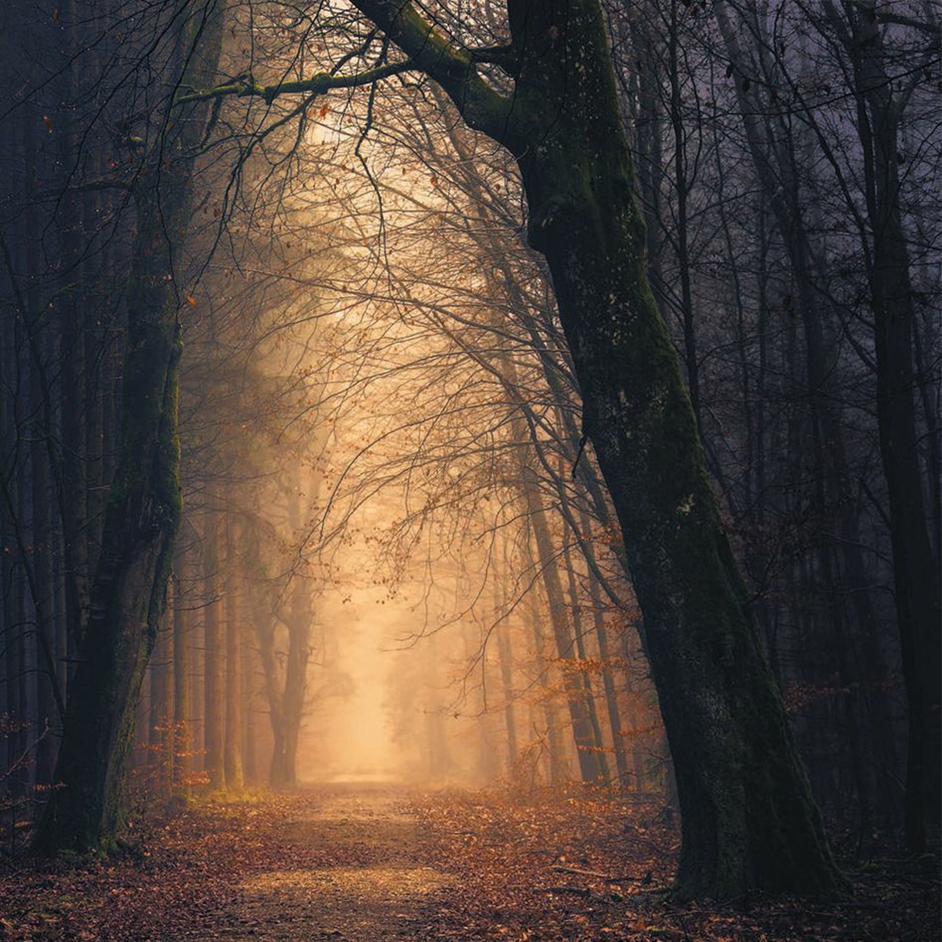 The Faith Today Podcast