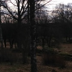 They Who Had No Beginning