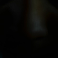 quorty - imjuseatinonmysalad.wav