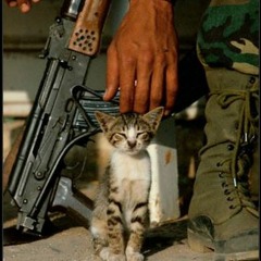 أناشيد صوت العاصفة