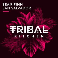 Sean Finn - San Salvador ( Club Mix )