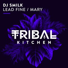 DJ Smilk - Lead Fine ( Original Mix)
