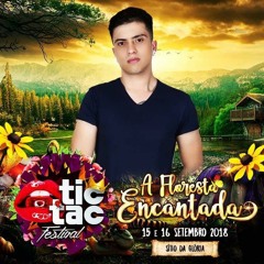 TIC TAC FESTIVAL A Floresta Encantada - DJ Marcio Peron
