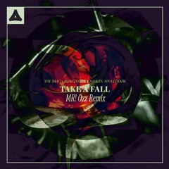 The Brig X Rob Gasser X Ashley Apollodor - Take A Fall (MR! Ozz Remix)